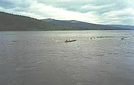 �U�C�[����