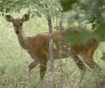 �u�b�V���o�b�N�̎ʐ^