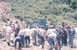 ���̐l����