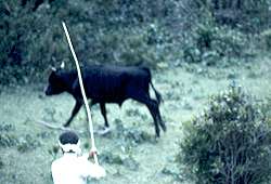 �ǂ�����