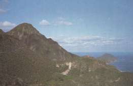 ���V���̌i��