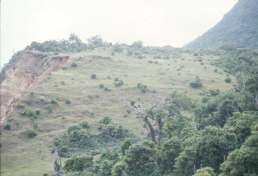 �e�[���W���̌i��